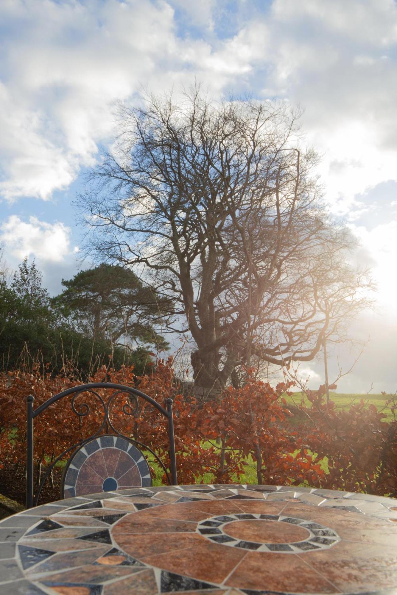 The Stone Cottage Castlebar Exterior photo